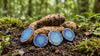 What Does Curcuma caesia Mean? Understanding the Scientific Name of Black Turmeric