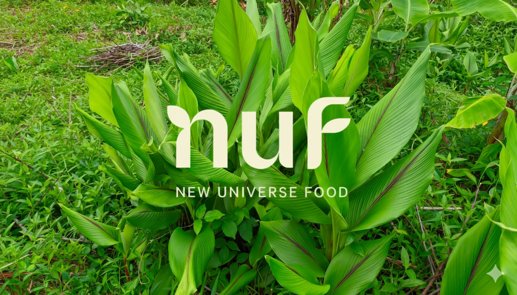 The Story Behind New Universe Food: Small-Batch Production with Big Impact