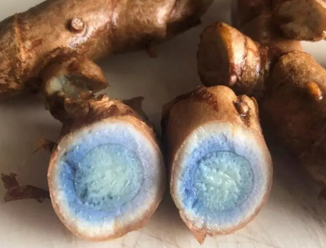 Unlocking the Power of Black Turmeric for Anti-aging