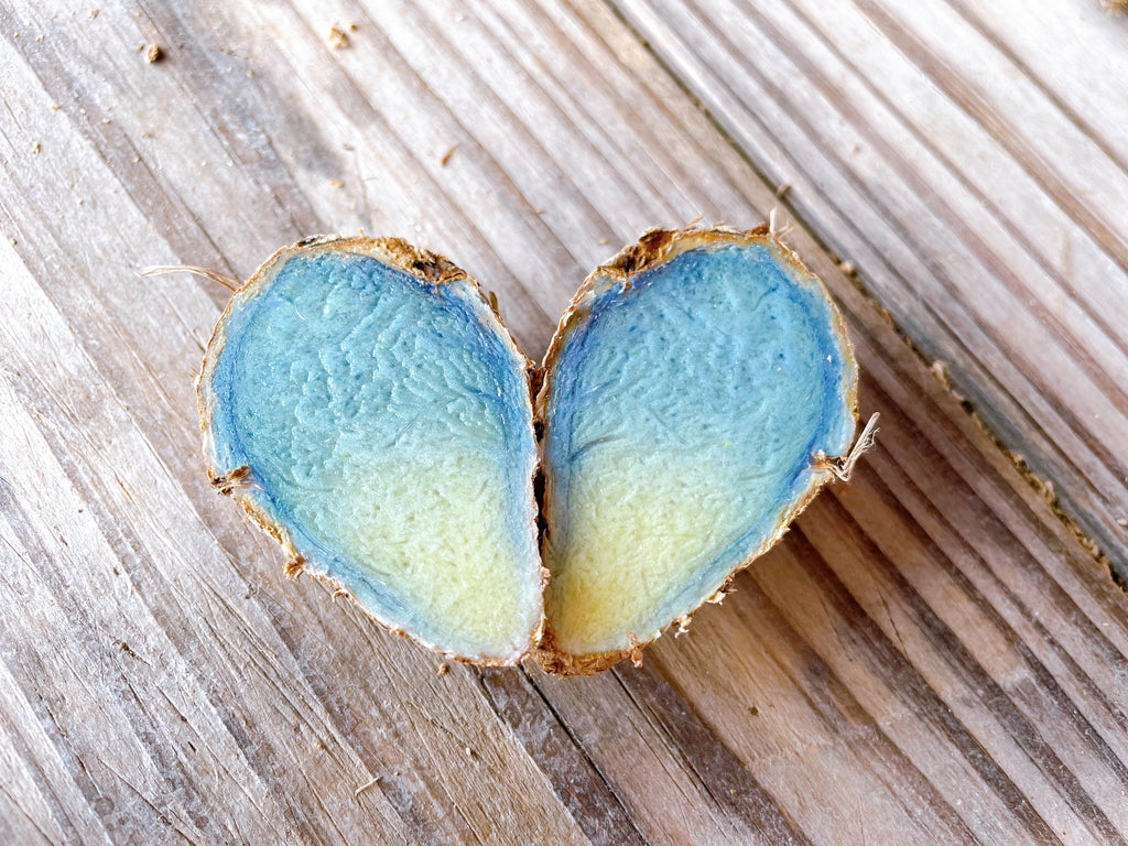 What Makes Black Turmeric a Premium Superfood for Today’s Market?