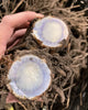 Why Is Black Turmeric Blue? The Science Behind Curcuma caesia's Unique Color