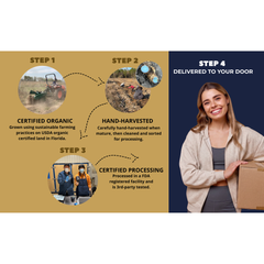 Black Turmeric Power Bundle — Capsules + Powder