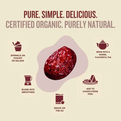 Jujube Bites | Organic Sun-Dried Jujube | USA Grown