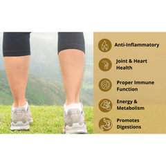 Black Turmeric Power Bundle — Capsules + Powder