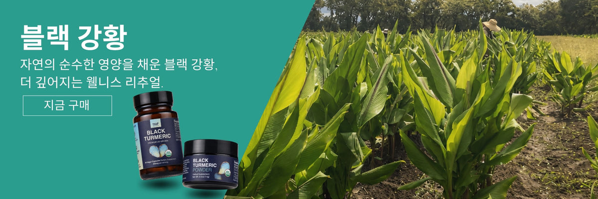 블랙 강황 베스트 컬렉션