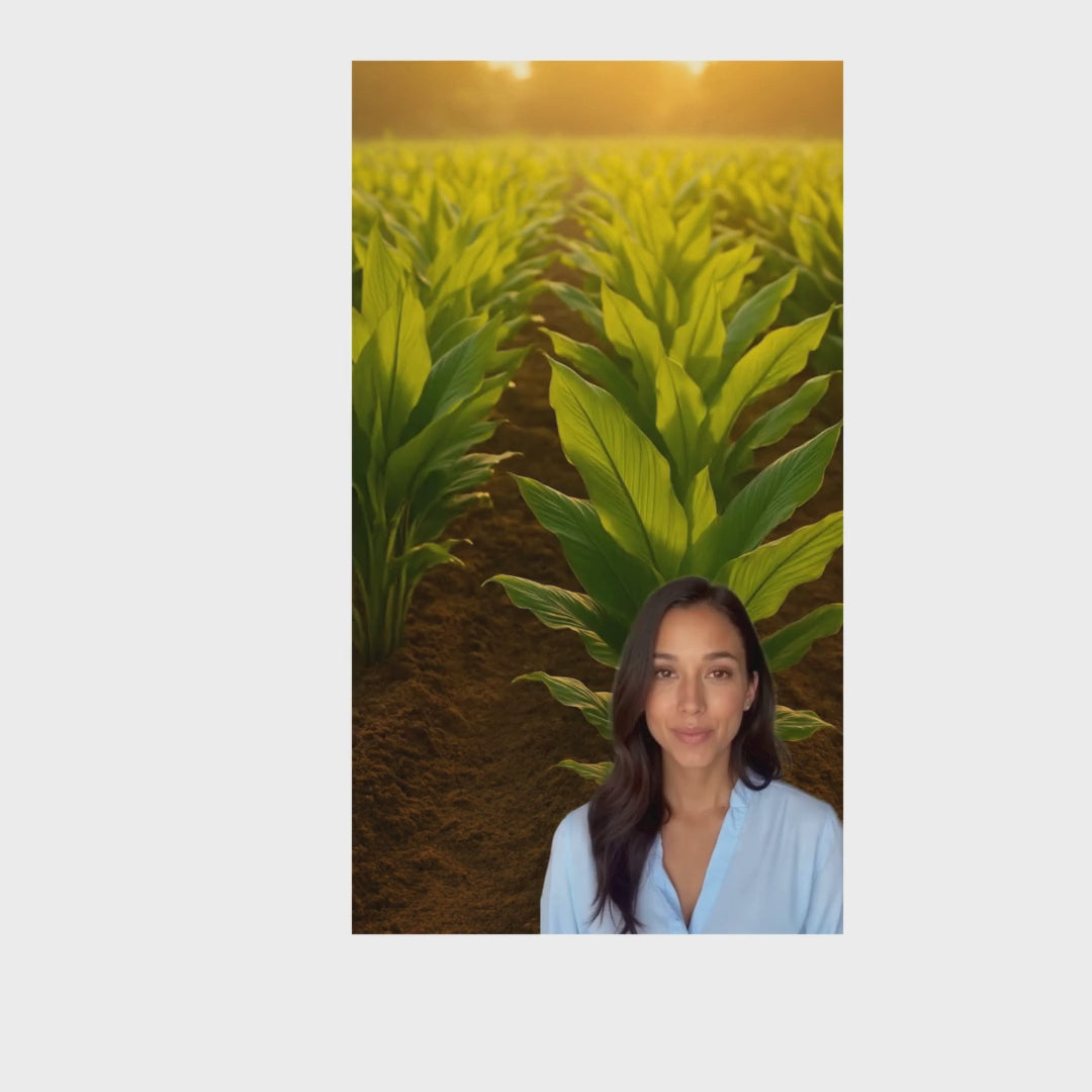 Black Turmeric Capsules