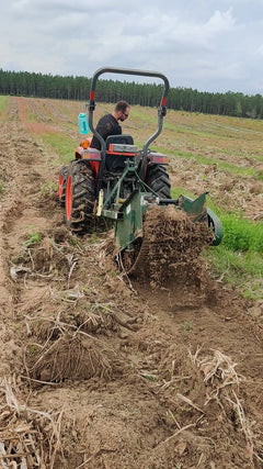 1 lb Organic Raw Black Turmeric