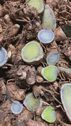 1 lb Organic Raw Black Turmeric