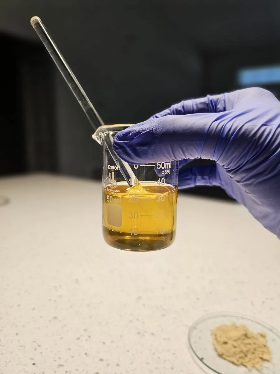 Black turmeric extract being prepared in the laboratory