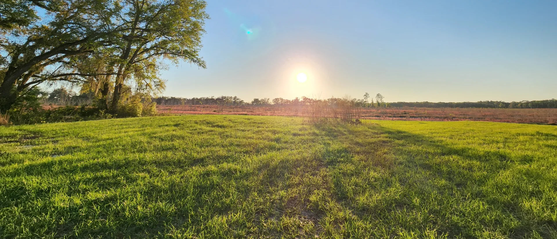 Fields at Ease Land Organic Farm in Live Oak, Florida, at sunset