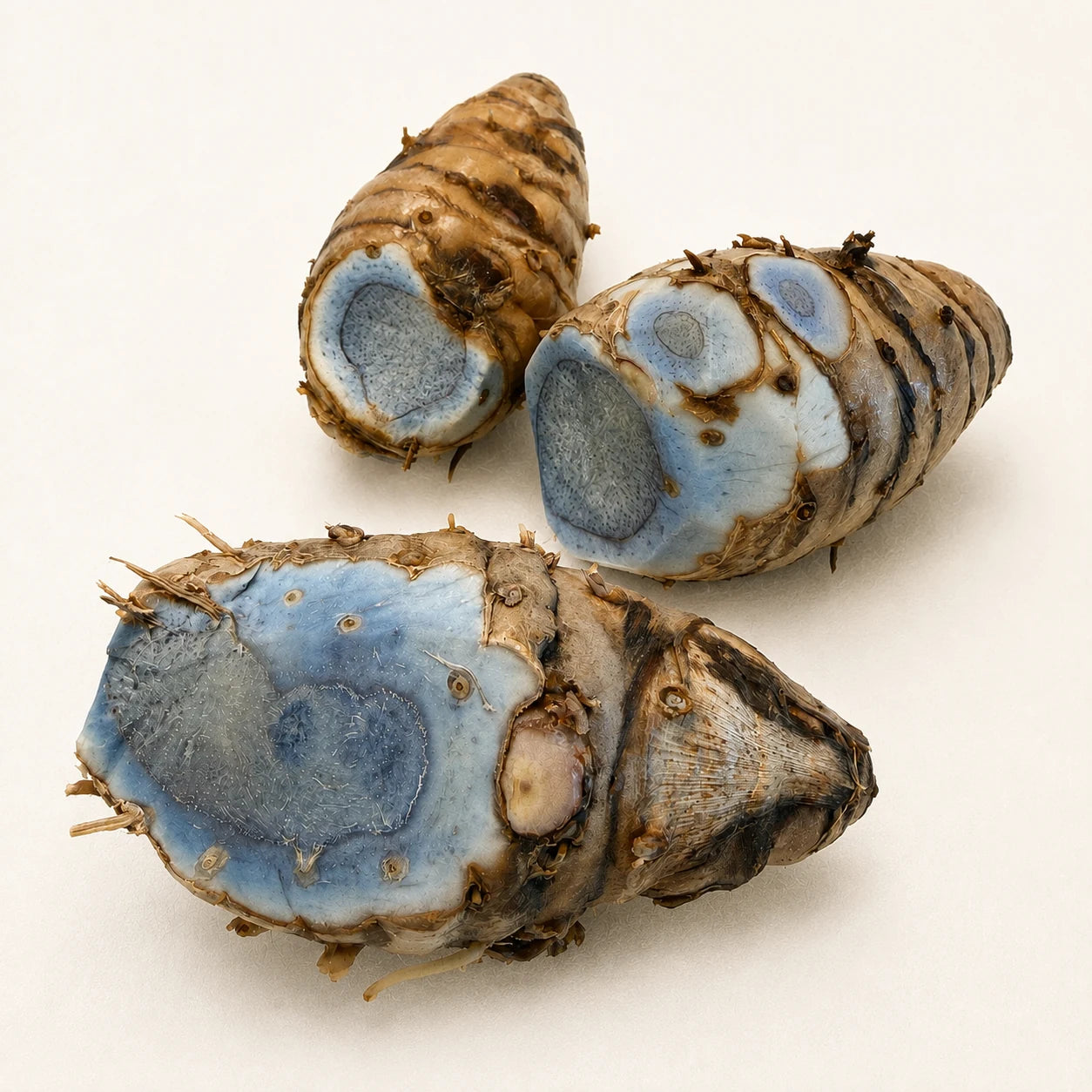BLACK TURMERIC